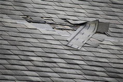 Signs Of Hail Damage On Your Roof Calgary Big 5 Exteriors