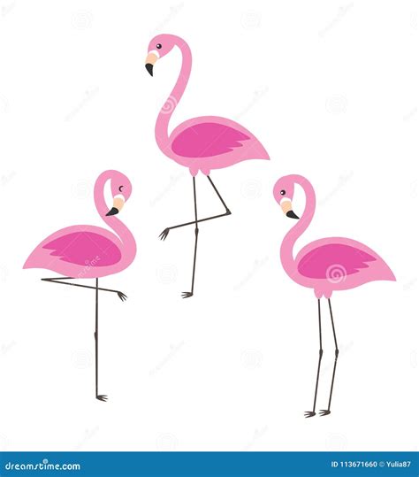 Vector Set Of Cute Cartoon Pink Flamingos Stock Vector Illustration