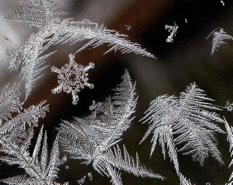 Ice Crystals And A Snowflake Flickr Photo Sharing I Love Snow I