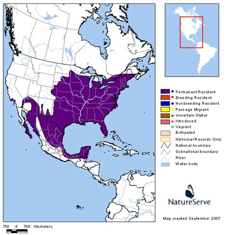 Americas Range Map Northern Cardinal