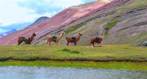 Ausangate Trek 6 Days To Rainbow Mountain Peru Summit