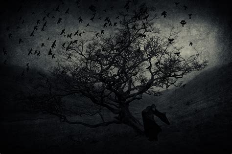 Fondos De Pantalla Paisaje Aves Monocromo Oscuro Noche Horror Naturaleza Cielo