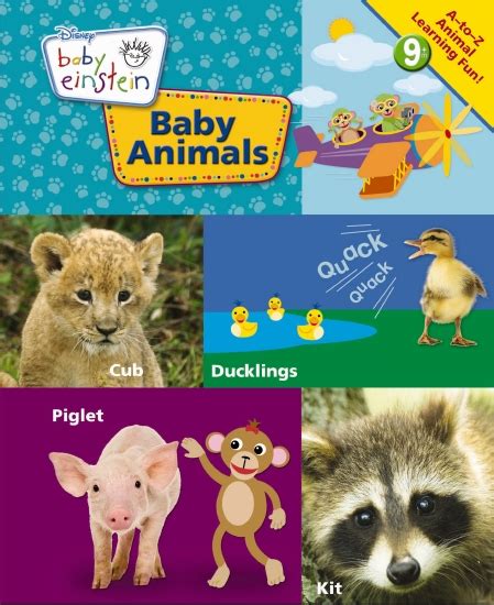 The Store Baby Einstein Baby Animals Book