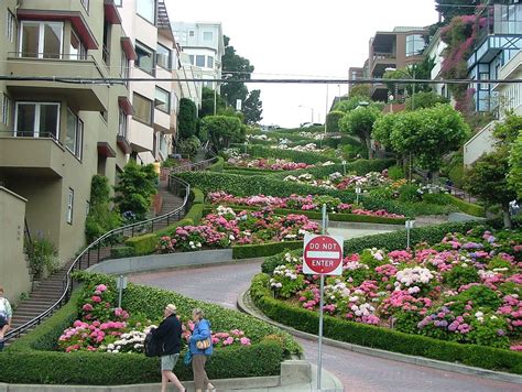 San Francisco Lombard Street Flowers Best Flower Site