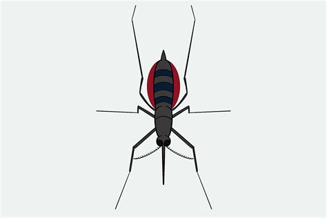 Bug Blog Mosquitoes Scienceline