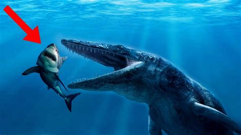 BIGGEST Prehistoric Enemies Of The MEGALODON! - YouTube