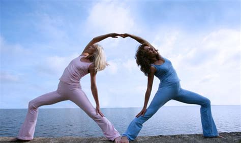 Friendly for beginners all the way to pros, partner yoga will challenge your body and also your connection and trust in your counterpart. Yoga : Partner Yoga