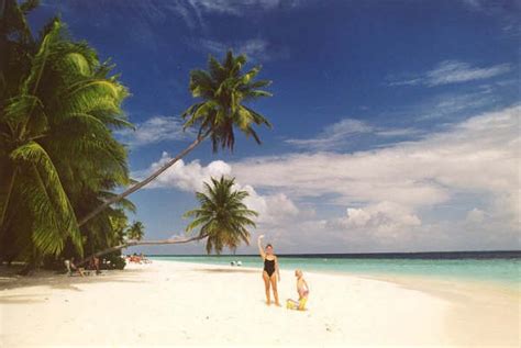 La température la plus élevée prévue pour. Climat aux Maldives en décembre? | Climat et météo ...