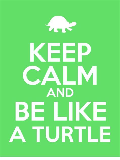 Keep Calm And Be Like A Turtle Cute Turtles Turtle Love Turtle