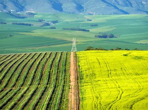 It has the ability to match profiles more conveniently as compared to others. Top 10 Places to Visit in South Africa | Most beautiful ...