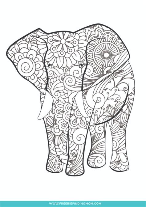Animal Coloring Pages For Kids