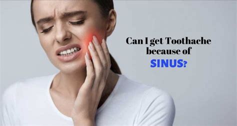What Is Sinus Induced Toothache And How To Relieve It Expert Dental Care