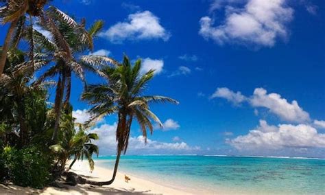 Titikaveka Tropical Beach Rarotonga Cook Islands Panoramic View X