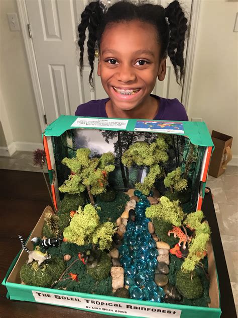 How To Make A Rainforest Diorama From A Shoebox Dioramas And Rain