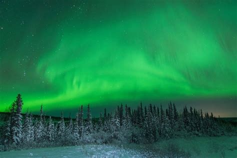 Turning On The Northern Lights In Fairbanks Snowshoe Magazine