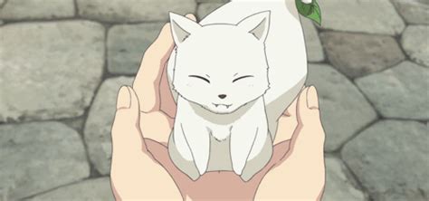 Inari Konkon Koi Iroha Wiki Anime Amino