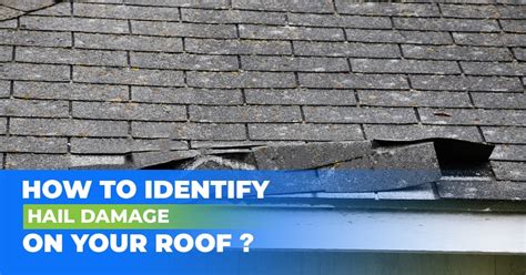 5 Ways To Identify Roof Damage By Hail Actionable Advice
