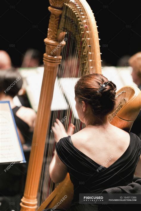 Harp Player In Orchestra — Classical Music Colleague Stock Photo