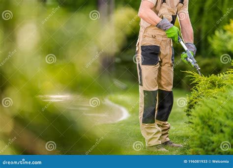 Topiary Garden Plants Trimming Job Stock Image Image Of Natural