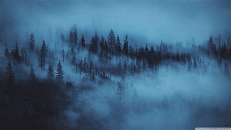 We hope you enjoy our rising collection of aesthetic wallpaper. 4k Aesthetic Desktop Wallpapers - Wallpaper Cave