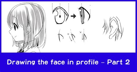 Update 74 Anime Face Profile Induhocakina
