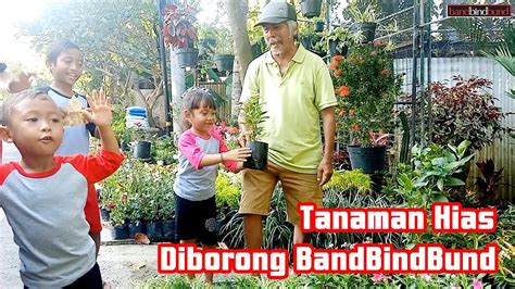 Oleh karena itu, lebih baik memelihara tanaman hias tahan panas matahari di halaman rumah anda. Tanaman Hias Depan Rumah | bandbindbund Borong Tanaman ...