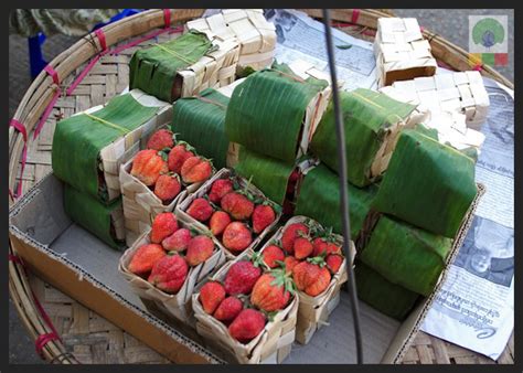 Exotic Fruits In Myanmarmyanmar Travel Essentials