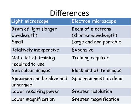Microscopy Gcse Biology Combined Science Edexcel Revision Study