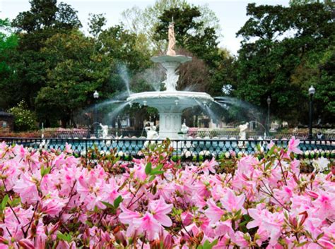 Maybe you would like to learn more about one of these? Pamela Copeman » Pamela's Posh Picks: Spectacular Spring ...