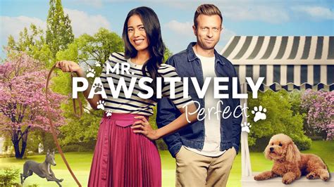 Trailer - Mr. Pawsitively Perfect - WithLove - YouTube