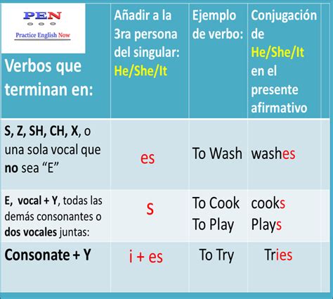 Cómo Conjugar Verbos En Inglés Present Tense Lesson 16