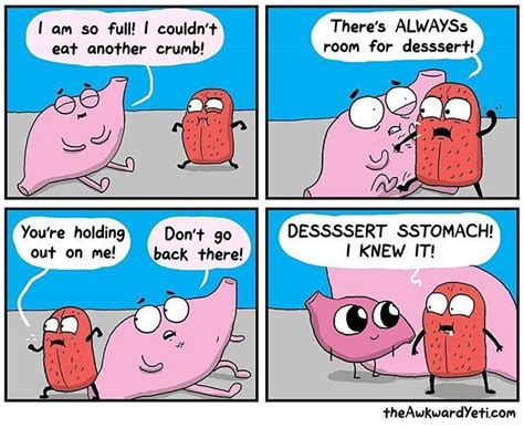 The Dessertstomach Is Real Regram From Theawkwardyeti Tongue Heartandbrain Theawkwardyeti