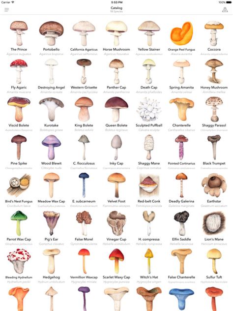 App Shopper Mushroom Guide North America Reference