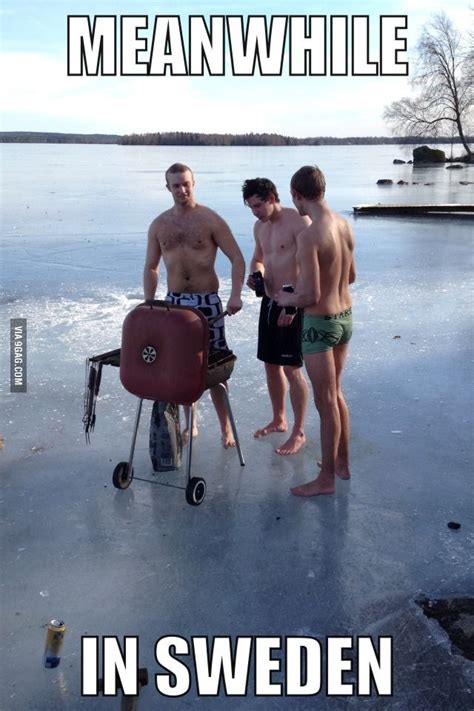 meanwhile in sweden funny funny funny pictures funny memes