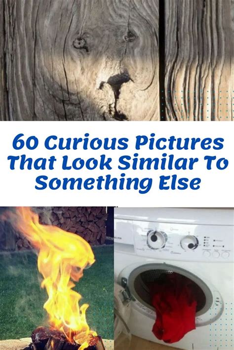 60 Photos That Look Hilariously Similar To Something Else