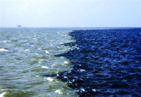 Does This Pic Show Where The Mississippi River Meets The Gulf Of Mexico