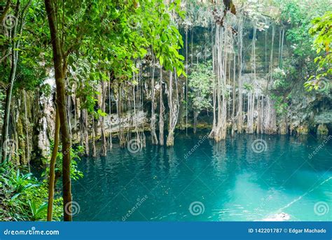 Natural Sinkhole At Yucatan Stock Image Image Of Tranquility Beauty