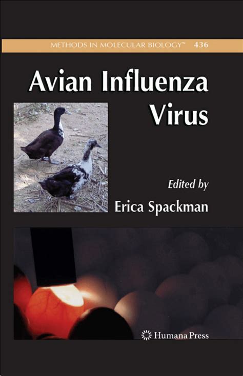 Pdf Avian Influenza Virus Isolation And Propagation In Chicken Eggs