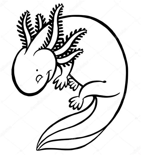 Enjoy this axolotl coloring page for earning the axolotl badge! Axolotl Drawing at GetDrawings | Free download