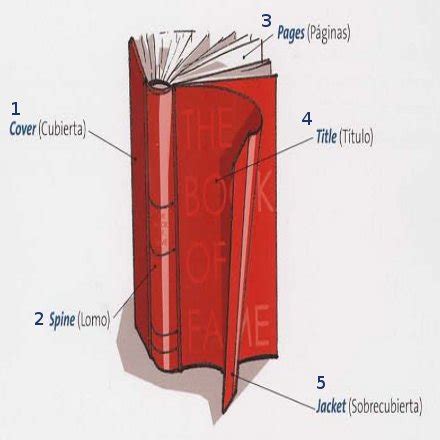 Con estos tres libros tendrás suficiente material para estudiar años anatomía para dibujantes. ENGLISH FOR EVERYONE: Partes de un Libro en Inglés ...