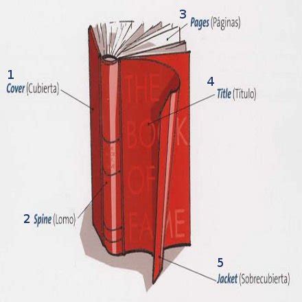 Partes externas de un libro: ENGLISH FOR EVERYONE: Partes de un Libro en Inglés (Vocabulario)