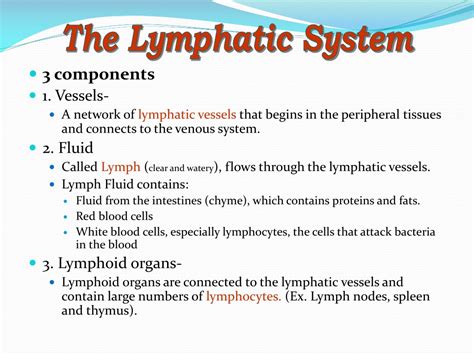 Ppt Lymphatic System Powerpoint Presentation Free Download Id9588862