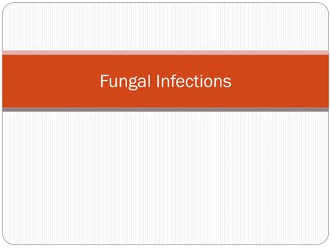 Ppt Fungal Infections Powerpoint Presentation Free Download Id2014488