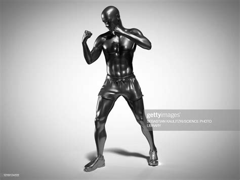 Man In Boxing Pose Illustration High Res Vector Graphic Getty Images