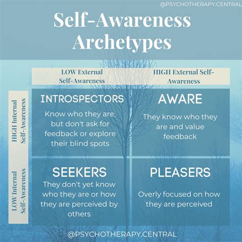 Self Awareness Archetypes
