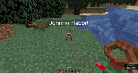 How To Tame Rabbits In Minecraft The Lost Gamer