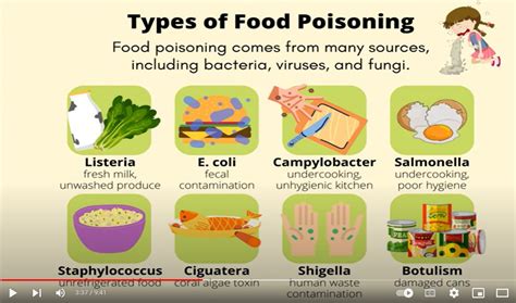 Food Poisoning Symptoms And Causes Authentic And Scientific Information Innovare Academic