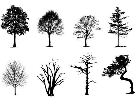 Free Vector Tree Silhouette At Collection Of Free
