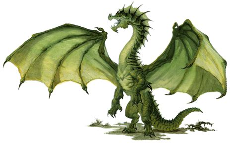 Young Green Dragon | Kryx RPG