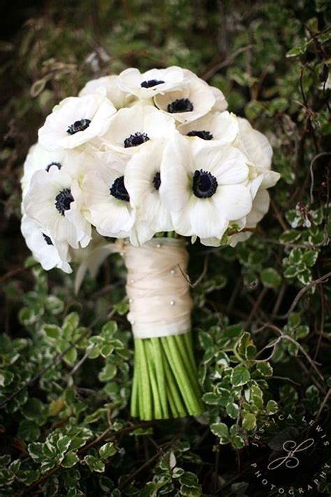 Wedding Inspirasi Tumblr White Wedding Bouquets Anemone Bouquet